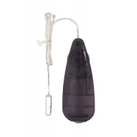 Віброкулька Chisa Hi-Basic Mini Bullet з пультом керування, срібляста
