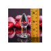 Скляний анальний затор ADAM ET EVE RED HEART GEM GLASS PLUG SMALL