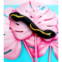Стеклянный фаллоимитатор двухсторонний Secret Kisses Handblown, черный
