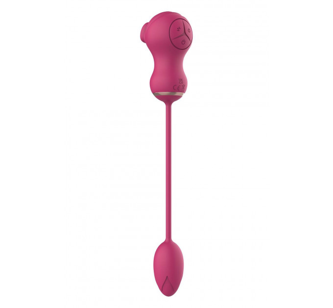 Гибкий двойной стимулятор и вибрационное яйцо Dream Toys Essentials, розовый