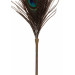 Перо Павлина Peacock Tickler Taboom