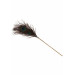 Перо Павлина Peacock Tickler Taboom