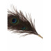 Перо Павлина Peacock Tickler Taboom
