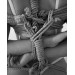 Веревка для бондажа Chisa BEHAVE LUXURY FETISH из хлопка, черная