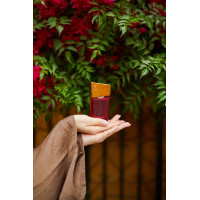 Духи с феромонами женские SHIATSU Pheromone Fragrance women red, 50 мл