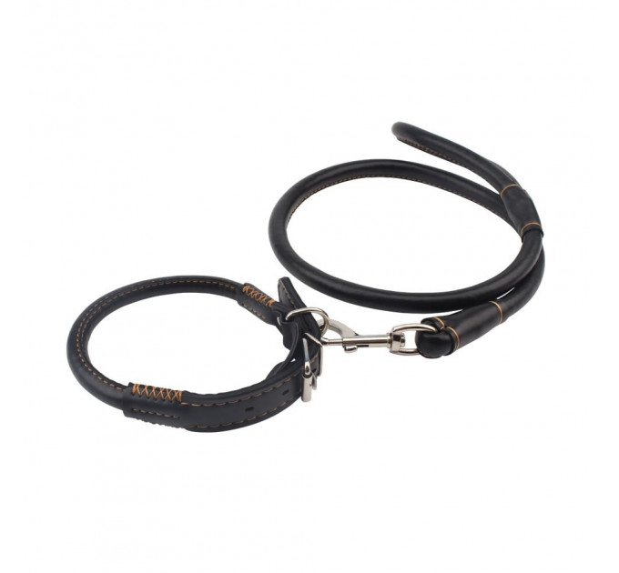 Ошейник и поводок Sexy Slave Collar&Leash Behave Luxury Fetish Chisa