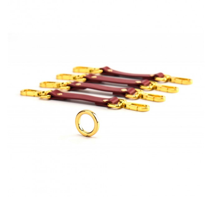 Набор BDSM Чемодан Желаний кожанный красный Kinky Tools Set UPKO