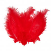 Декоративне пір'я Obsessive "Take me to bed!" bed feathers - Red