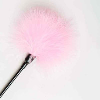 Пір'їнки Для пустощів Long Handle, Pink