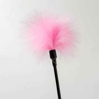 Пір'їнки Для пустощів Long Handle, Pink