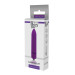 Мини вибромассажер DREAM TOYS 10-SPEED CLIMAX BULLET PURPLE