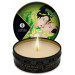 Свеча для массажа Shunga Zenitude Exotic Green Tea c ароматом зеленого чая, 30 мл