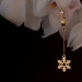 Прикраси для клітора та статевих губ non-pierced clitoral jewelry dangle with snowflake UPKO