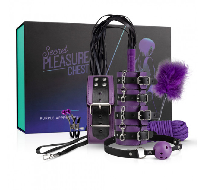 LBX403 Набор БДСМ Secret Pleasure Chest - Purple Apprentice