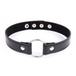 Ошейник DS Fetish Collart black metal