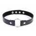 Ошейник DS Fetish Collart black metal