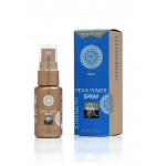 Спрей стимулирующий для мужчин SHIATSU Power Spray, 30 мл