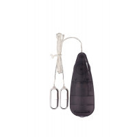 Вібропулі сріблясті Chisa Hi-Basic Double Play Bullets Vibrator з чорним пультом управління
