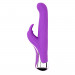 Вибратор кролик Chisa Melody-Woo Lush Rabbit Rechargeable Purple