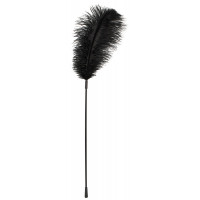Перо Black feather Bad Kitty