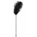 Перо Black feather Bad Kitty