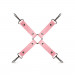 LBX404 Набор БДСМ Secret Pleasure Chest - Pink Pleasure