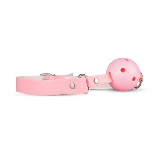 LBX404 Набор БДСМ Secret Pleasure Chest - Pink Pleasure