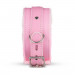 LBX404 Набор БДСМ Secret Pleasure Chest - Pink Pleasure