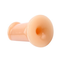 Плаг анальный Chisa Prof.Jason C Slim Dildo в виде пениса, S