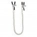 Зажимы на соски Adjustable Clamps with Chain