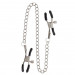 Зажимы на соски Adjustable Clamps with Chain