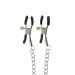 Зажимы на соски Adjustable Clamps with Chain