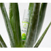 EG016 Лубрикант на водной основе asyGlide Aloe Vera, 30 мл