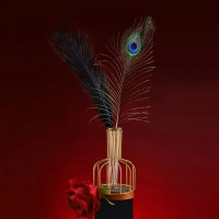 Набір з 2 пір'їнок ,Natural Peacock Flirting Feather Tickler