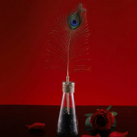Набір з 2 пір'їнок ,Natural Peacock Flirting Feather Tickler