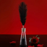 Набір з 2 пір'їнок ,Natural Peacock Flirting Feather Tickler
